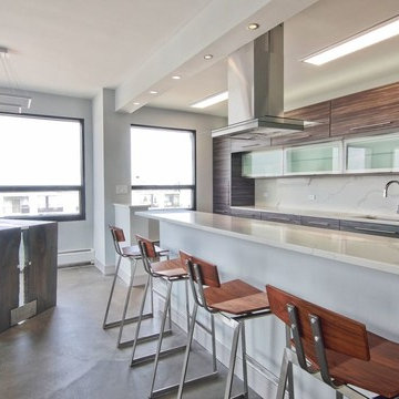 Des Plains Modern Industrial Kitchen