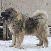 Людмила Зудина's photo