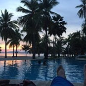 Mark Rosaldo's photo