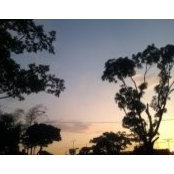 Diana Jhuang's photo