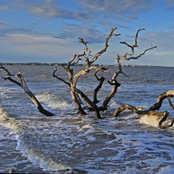 Foto von Dawna Rollins