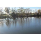 Christine Jaeger's photo