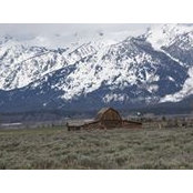 Linda Winter's photo