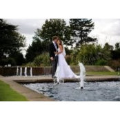 Banu Doyle's photo