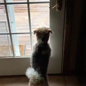 Robert Bird Jr.'s photo