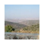 Sandra Nk's photo