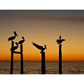 Kaylene Shomber's photo