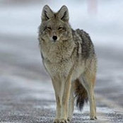 David Herbster's photo