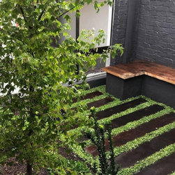 Exotic Grasses - Products