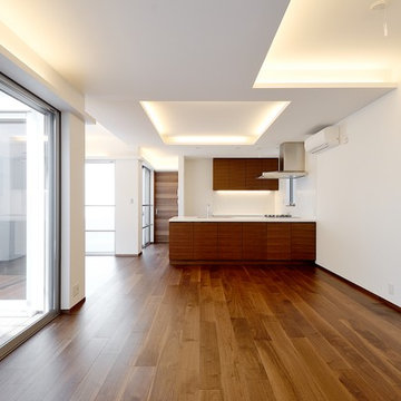 LDKを囲む2つの屋外空間 HNS-House