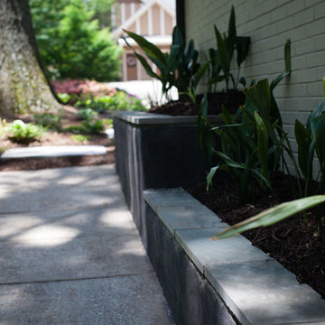 Modern and dog-friendly landscape