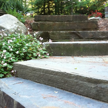 Irregular Bluestone Steps