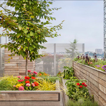 High Line Penthouse, New York, NY