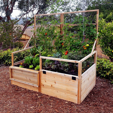6ft x 3ft Garden in a Box with Trellis/Lid