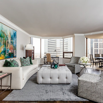 Four Seasons Houston Project