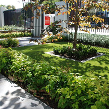 front yard