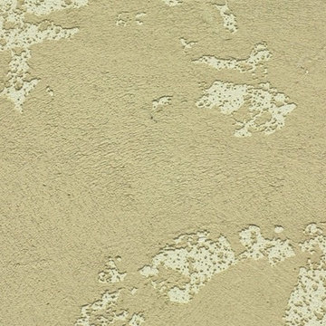 Venetian Plaster (Marmarino)