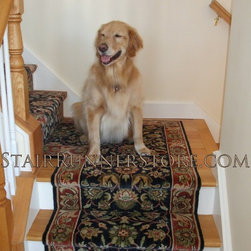 Pets on Stairs - Pet Supplies