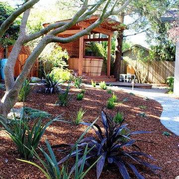 Asian-inspired Shade Garden