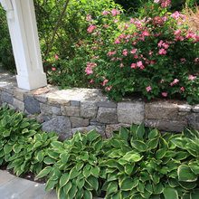 Landscape project