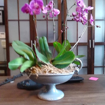 Flower Arrangements
