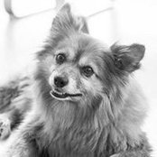 Craig Davis's photo