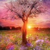 Oneness Ohio's photo