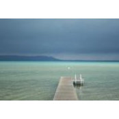 Kim Kramer's photo