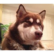 Eddie Abravanel's photo