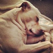 Andi Thibodeau's photo