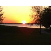 Karyn Force's photo