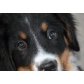 Greg Pedersen's photo