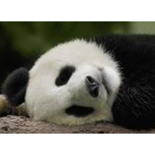 Barb Fajertag's photo