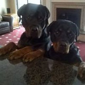 Sonja West's photo