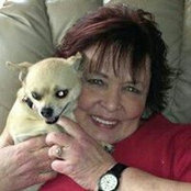 Ann Hayes's photo