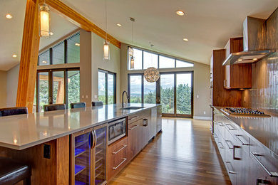 Kitchen - contemporary kitchen idea in Denver