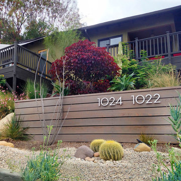 Conscious Stream Scape- Silverlake