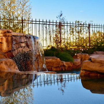 Desert oasis in Summerlin, Las Vegas