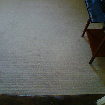 Carpet & Wood Floor Cleaning