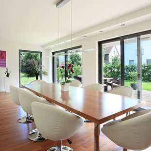 ドレスデンの広いコンテンポラリースタイルのLDKの画像 (白い壁、無垢フローリング、暖炉なし)