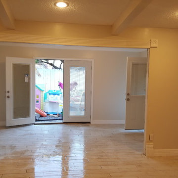 Living Room Renovation and Addition