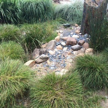 Seaside Garden