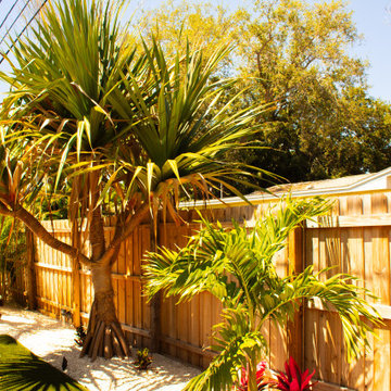 Tropical Design & Installation - South St. Petersburg