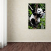 Philippe Hugonnard 'Giant Panda II' Canvas Art, 47"x30"