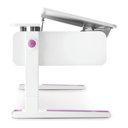 Champion Desk - Products