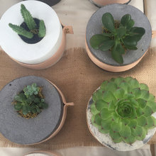 Indoor plants
