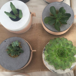 Ms Medez - Indoor Pots And Planters