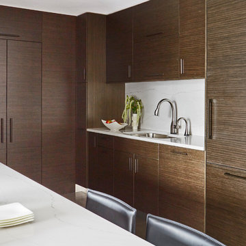 Contemporary Collaboration in Chicago Condo