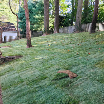 Landscape installs