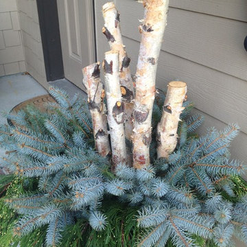 Winter Containers